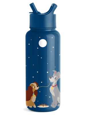 Disney Summit Water Bottle with Straw Lid